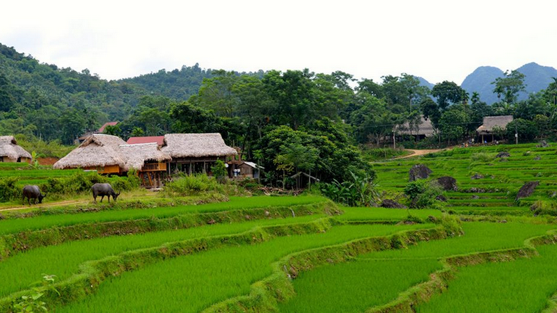 Khảo sát địa chất Thanh Hóa - Chúng tôi tự hào là một trong những doanh nghiệp đi đầu trong công tác khảo sát địa chất công trình.